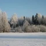 Рецепт приготування вальдшнепа (готувати) Рецепт приготування вальдшнепа
