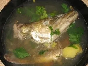Рецепт юшки з щуки приготування покроково з фото (юшка з щуки в домашніх умовах рецепт) Рецепт юшки з щуки приготування покроково з фото