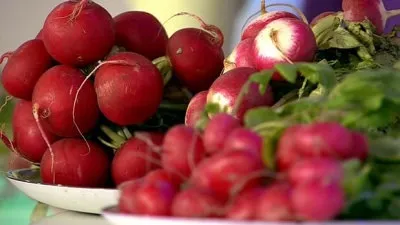 Редиска при грудному вигодовуванні - користь і поради по вживанню! (Редиска) Редиска при грудному вигодовуванні - користь і поради по вживанню!