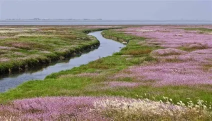 Річки та озера в китаї, все про китаї - міста, курорти, визначні пам'ятки, готелі, відео (озера) Річки та озера в китаї, все про китаї - міста, курорти, визначні пам'ятки, готелі, відео