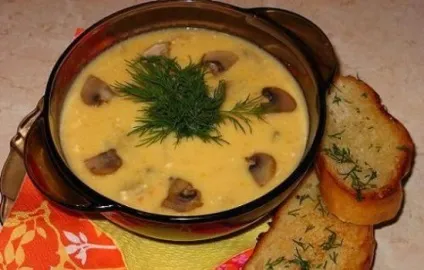 Рецепти сирного супу з грибами, секрети вибору інгредієнтів і (жіночий журнал) Рецепти сирного супу з грибами, секрети вибору інгредієнтів і