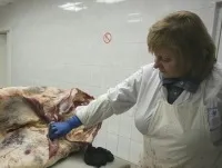 Чи є на ринку свіже м'ясо, або як продавці дурять покупців, продукти і напої, кухня, (свіже) Чи є на ринку свіже м'ясо, або як продавці дурять покупців, продукти і напої, кухня,