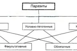 факультативні паразити