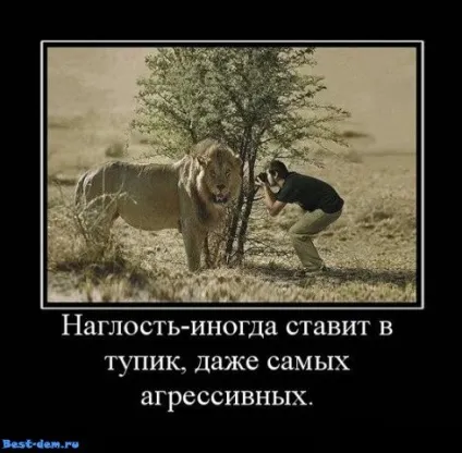 Якщо не відповідаєш на нахабство, то людина більше наглеет (нахабство) Якщо не відповідаєш на нахабство, то людина більше наглеет