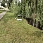 Фотограф без дзеркалки, або як знімати на телефон (фотограф) Фотограф без дзеркалки, або як знімати на телефон