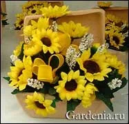 Флористика і стильні італійські композиції (композиції) Флористика і стильні італійські композиції