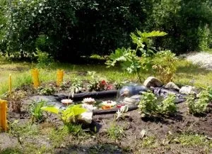 Фонтан своїми руками - 68 фото саморобних варіантів і їх прикрас (фото) Фонтан своїми руками - 68 фото саморобних варіантів і їх прикрас