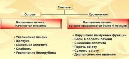 Фосфоглів при гепатиті з і в (фосфоглів) Фосфоглів при гепатиті з і в