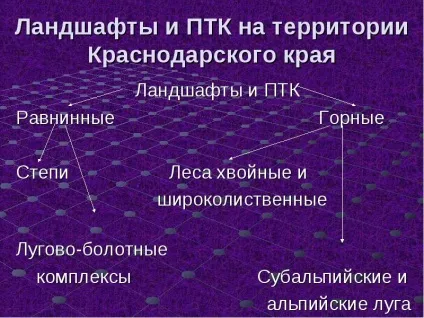 Формування природно-господарських комплексів своєї місцевості словникова робота (комплексів) Формування природно-господарських комплексів своєї місцевості словникова робота