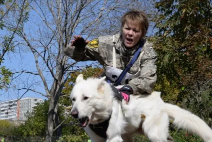 Фспс - федерація спортивно-прикладного собаківництва в системі РКФ (собаківництва) Фспс - федерація спортивно-прикладного собаківництва в системі РКФ