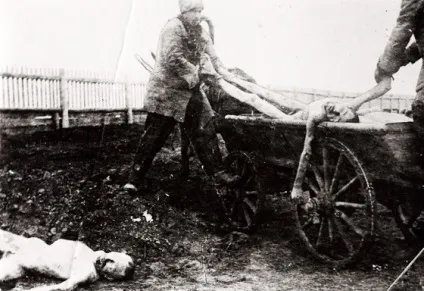 Голод в поволжя (1921-1923 г (поволжя) Голод в поволжя (1921-1923 г