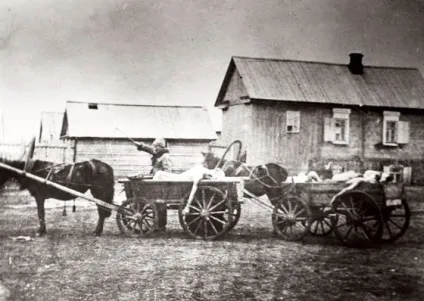Голод в поволжя (1921-1923 г (поволжя) Голод в поволжя (1921-1923 г