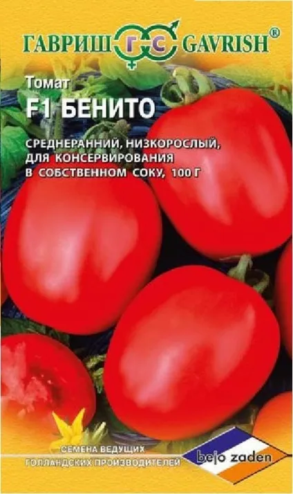 Гниль на помідорах