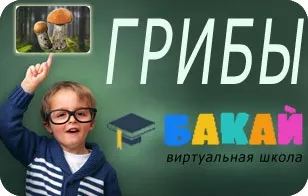 Грибний світ (гриби) віртуальна школа Бакай