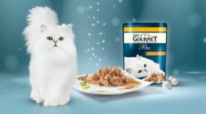 Гурмет корм для кішок відгуки ветеринарів і особливості продукту (кішок) Гурмет корм для кішок відгуки ветеринарів і особливості продукту