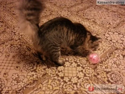 Іграшка для кішок hagen куля-головоломка catit cat treat ball - «куля-головоломка (treat) Іграшка для кішок hagen куля-головоломка catit cat treat ball - «куля-головоломка