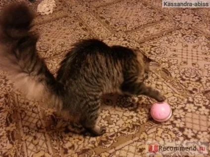 Іграшка для кішок hagen куля-головоломка catit cat treat ball - «куля-головоломка (кішок) Іграшка для кішок hagen куля-головоломка catit cat treat ball - «куля-головоломка