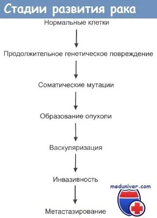 Інвазія, ангіогенез і метастазування пухлинних клітин (ангіогенез) Інвазія, ангіогенез і метастазування пухлинних клітин