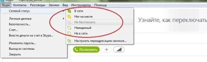 Інструкція по роботі в skype