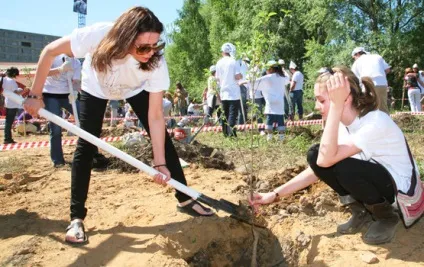Інструкція як захистити дерева у дворі і як посадити нові, Київ, московські новини (дворі) Інструкція як захистити дерева у дворі і як посадити нові, Київ, московські новини