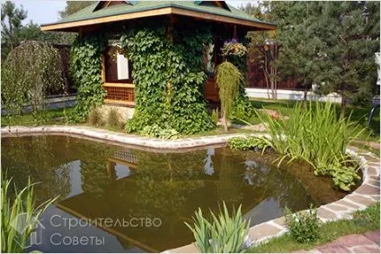 Штучна водойма своїми руками - ставок на дачі (фото) (своїми) Штучна водойма своїми руками - ставок на дачі (фото)