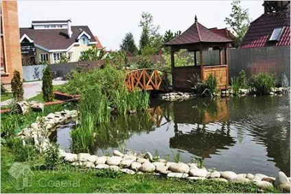 Штучна водойма своїми руками - ставок на дачі (фото) (штучна водойма своїми руками) Штучна водойма своїми руками - ставок на дачі (фото)