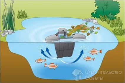 Штучна водойма своїми руками - ставок на дачі (фото) (штучний) Штучна водойма своїми руками - ставок на дачі (фото)