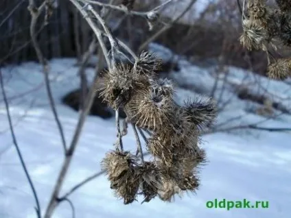 штучний мотиль