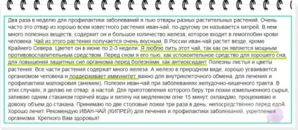 Іван-чай (кипрей, Копорський чай) для імунітету простий рецепт трав'яного чай який зміцнить (простий) Іван-чай (кипрей, Копорський чай) для імунітету простий рецепт трав'яного чай який зміцнить