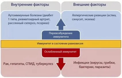 Іван-чай (кипрей, Копорський чай) для імунітету простий рецепт трав'яного чай який зміцнить (кипрей) Іван-чай (кипрей, Копорський чай) для імунітету простий рецепт трав'яного чай який зміцнить