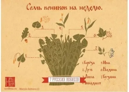 З чого робити віники для російської лазні, здоров'я (7 видів віників для російської лазні) З чого робити віники для російської лазні, здоров'я