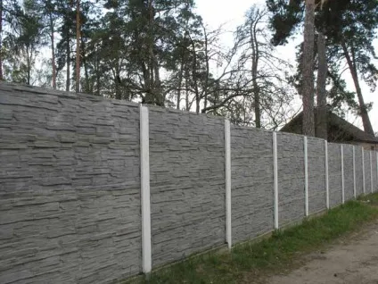 З чого краще всього зробити недорогий паркан для дачі (зробити) З чого краще всього зробити недорогий паркан для дачі