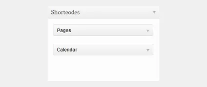 Як додати віджети wordpress на сторінку