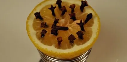 Як боротися з комарами методи способи змови (боротися) Як боротися з комарами методи способи змови