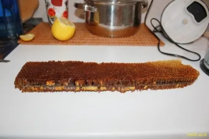 Як дістати пергу, записки пасічника (пасіка) Як дістати пергу, записки пасічника