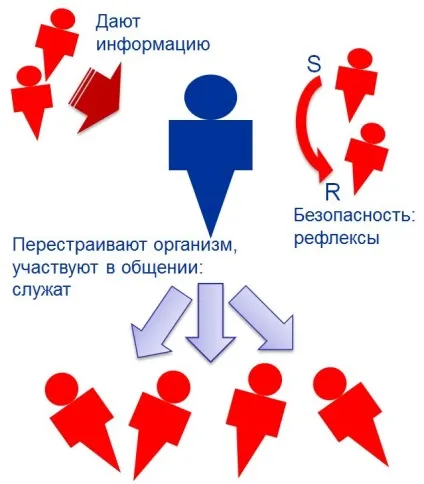 Як повинні поєднуватися розум і почуття (почуття) Як повинні поєднуватися розум і почуття