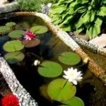 Як використовувати стару ванну на дачі (дачі) Як використовувати стару ванну на дачі