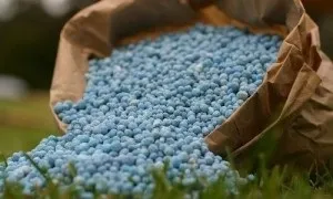 Які існують добрива для хвойних рослин, і яке вибрати (хвойних) Які існують добрива для хвойних рослин, і яке вибрати