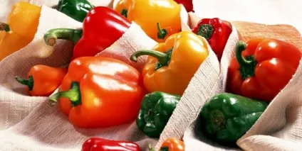Як і де правильно зберігати болгарський перець (болгарський) Як і де правильно зберігати болгарський перець