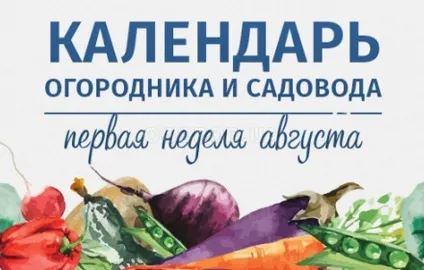 Які квіти посадити на дачі в травні (квіти) Які квіти посадити на дачі в травні