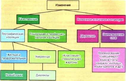 Як формуються мови і як вони впливають на утворення етносів і держав (освіта) Як формуються мови і як вони впливають на утворення етносів і держав