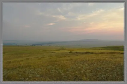 Які є природні зони