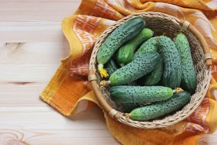 Які овочі можна вирощувати вдома, офіційний сайт кулінарних рецептів юлии висоцької (овочі) Які овочі можна вирощувати вдома, офіційний сайт кулінарних рецептів юлии висоцької
