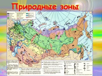 Які є природні зони
