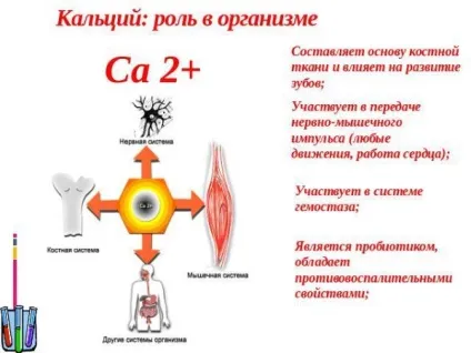 Які препарати кальцію призначені для дітей (препарати) Які препарати кальцію призначені для дітей