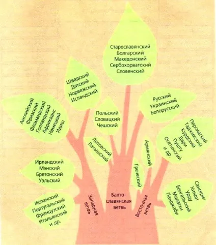 Як формуються мови і як вони впливають на утворення етносів і держав (освіта) Як формуються мови і як вони впливають на утворення етносів і держав