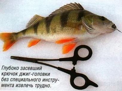 Рибальське спорядження та аксесуари для зимової та літньої риболовлі