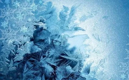 українські народні загадки про рослини, тварин, людину, явищах природи, техніці та праці, навчанні (рослинах) українські народні загадки про рослини, тварин, людину, явищах природи, техніці та праці, навчанні