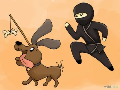 Як легко стати ніндзя