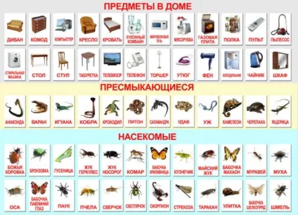 Як навчити дитину Новомосковскть по складах в домашніх умовах - поради і відео (складах) Як навчити дитину Новомосковскть по складах в домашніх умовах - поради і відео